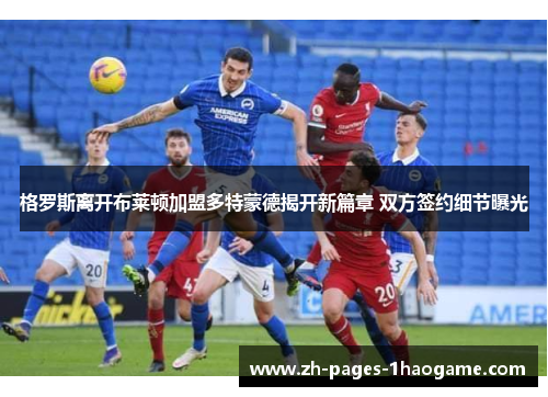 格罗斯离开布莱顿加盟多特蒙德揭开新篇章 双方签约细节曝光